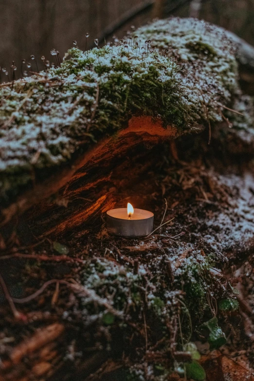 a lit candle sitting on top of a moss covered log, snow cave, ignant, forest setting, lush surroundings