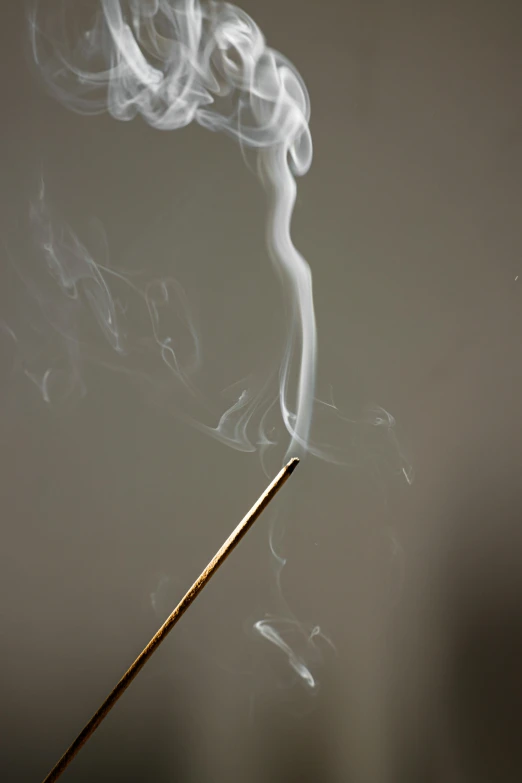 a close up of a stick with smoke coming out of it, by David Simpson, conceptual art, incense, grey, ((mist)), mint
