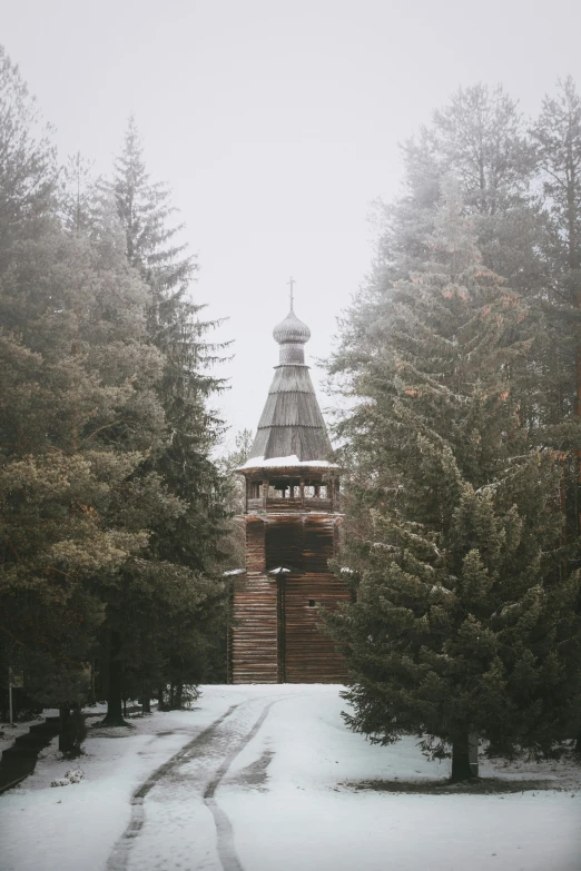 a clock tower in the middle of a snowy forest, inspired by Vasily Surikov, unsplash contest winner, baroque, soviet architecture, brown, exterior botanical garden, grey