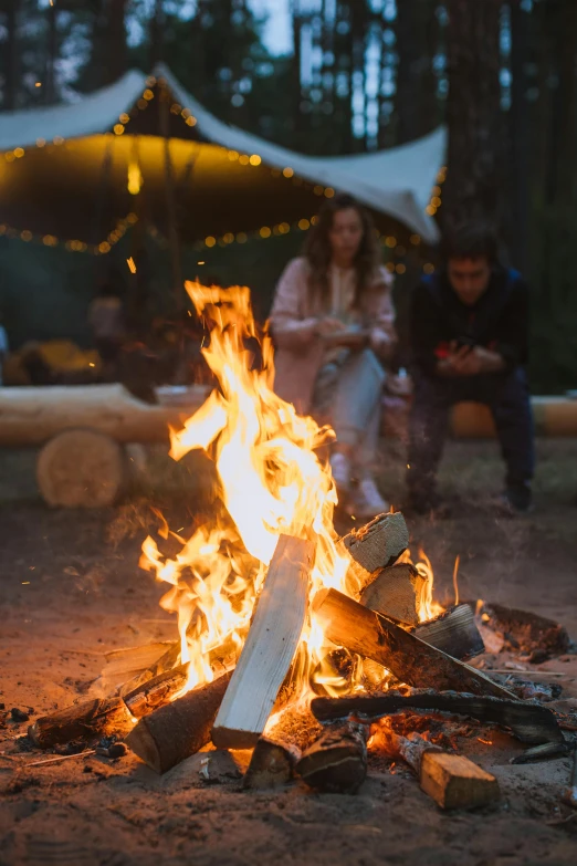 a group of people sitting around a campfire, sitting on a log, glamping, profile image, fire place roaring