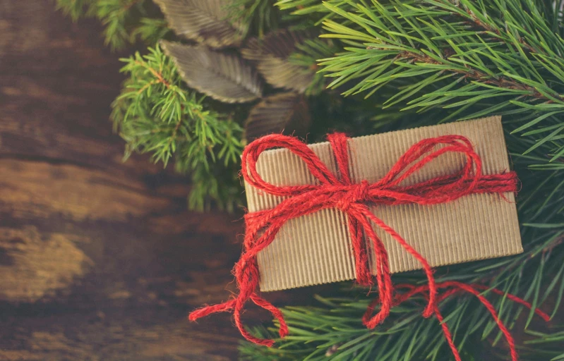 a gift wrapped in brown paper sitting on top of a pine tree, a digital rendering, pexels contest winner, hurufiyya, red ribbon, a wooden, a green, [ organic