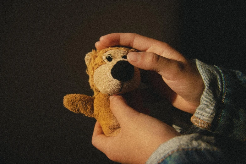 a person holding a teddy bear in their hand, lion, kids toy, in the dark, holding an epée