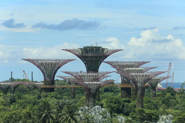 a bunch of trees that are next to each other, inspired by Paul Gustav Fischer, pexels contest winner, environmental art, singapore ( 2 0 1 8 ), norman foster, avatar image, turrets