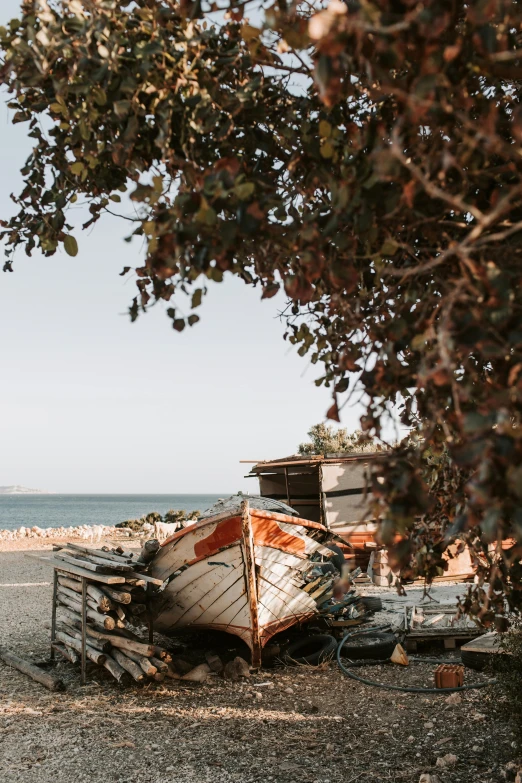 a couple of boats sitting on top of a sandy beach, olive tree, a photograph of a rusty, quaint, best photo