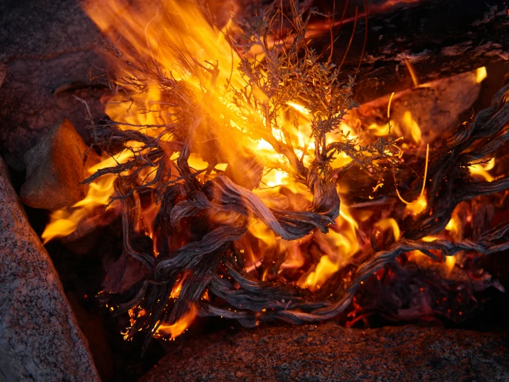 a close up of a fire on a rock, unsplash, land art, braziers, lachlan bailey, flame shrubs, hot food