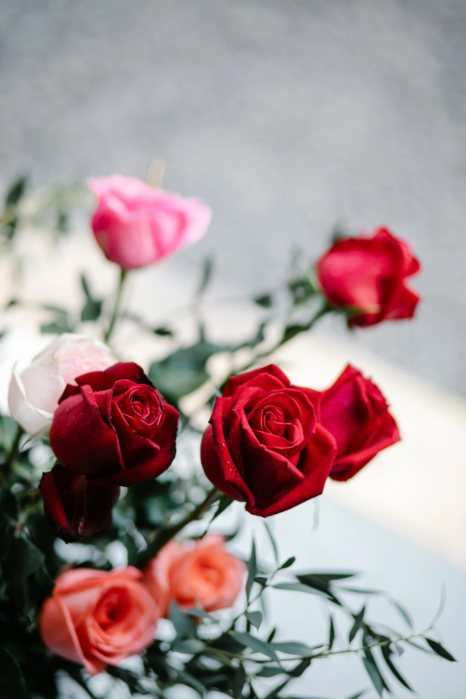 a bunch of roses in a vase on a table, trending on unsplash, romanticism, close up half body shot, red flowers of different types, city views, highly detailded'