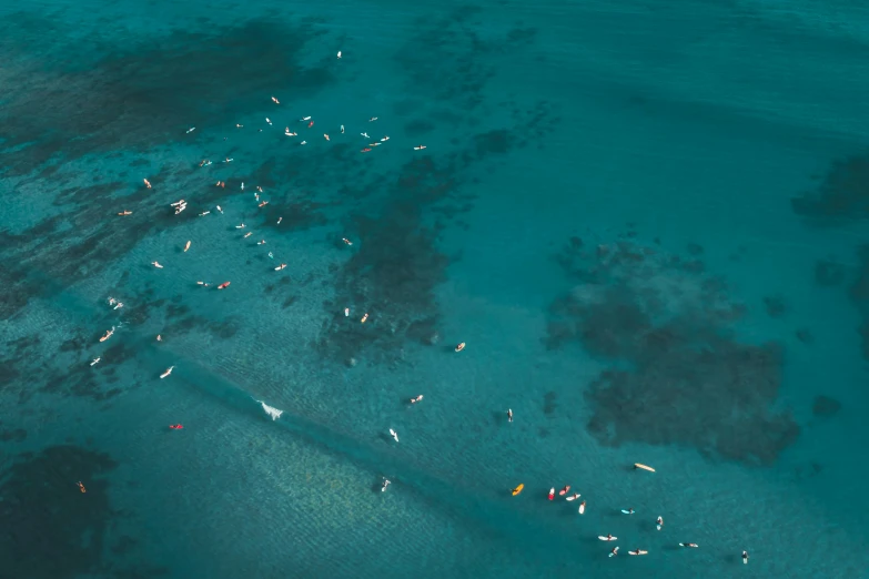 a group of people riding surfboards on top of a body of water, a tilt shift photo, by Adam Marczyński, pexels contest winner, birds eye overhead perspective, floating. greenish blue, thumbnail, maui