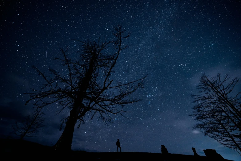 a group of people standing on top of a hill under a night sky, by Peter Churcher, pexels contest winner, trees and stars background, lone person in the distance, hunting, meteorites