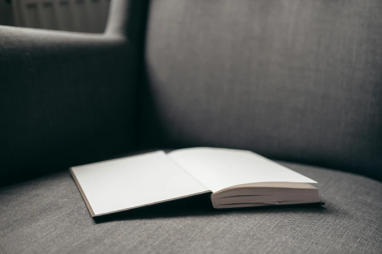 an open book sitting on top of a couch, unsplash, private press, grey, blank stare, background image, lined paper