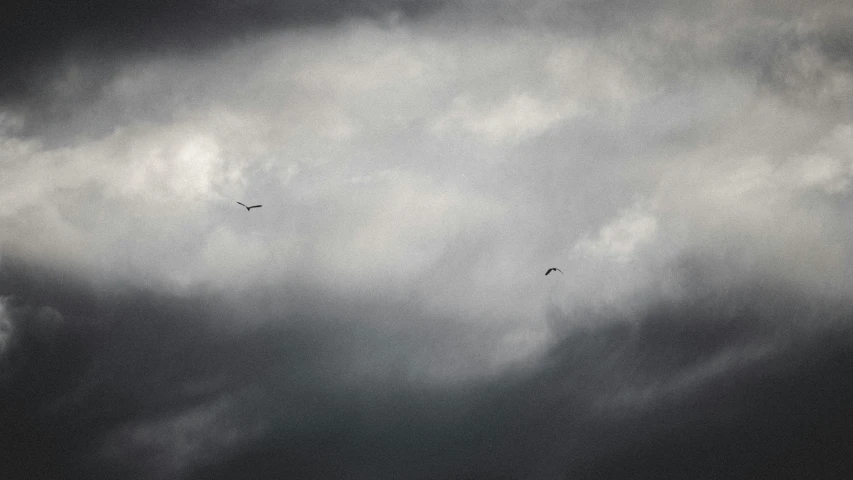 a couple of birds flying through a cloudy sky, by Adam Pijnacker, unsplash, minimalism, fine art print, dark gloomy, an eerie, photograph ”