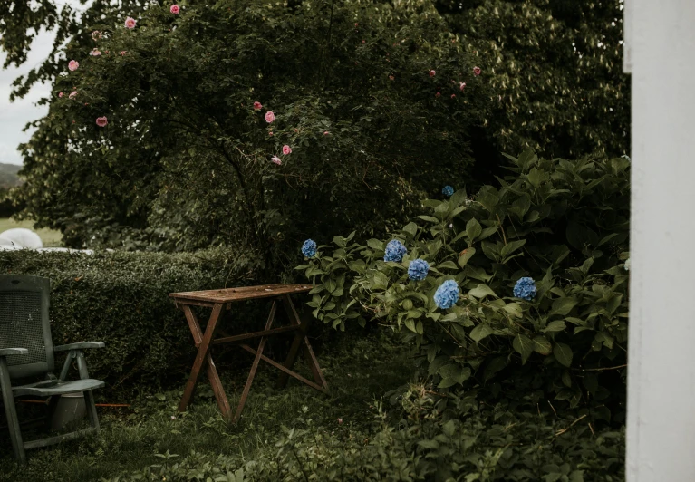 a couple of chairs sitting on top of a lush green field, an album cover, by Frederik Vermehren, pexels contest winner, an isolated hydrangea plant, bench, josef sudek, forest with flowers blue