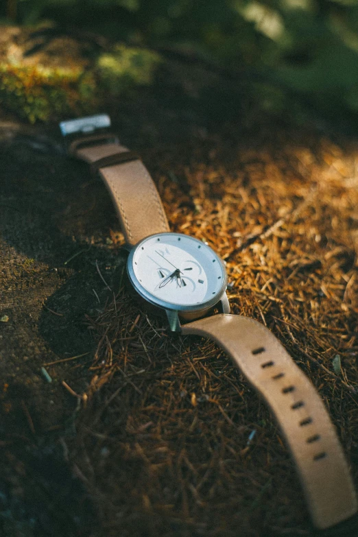 a close up of a watch on the ground, inspired by Salomon van Abbé, unsplash, conceptual art, setting in nature, white soft leather model, light tan, thumbnail