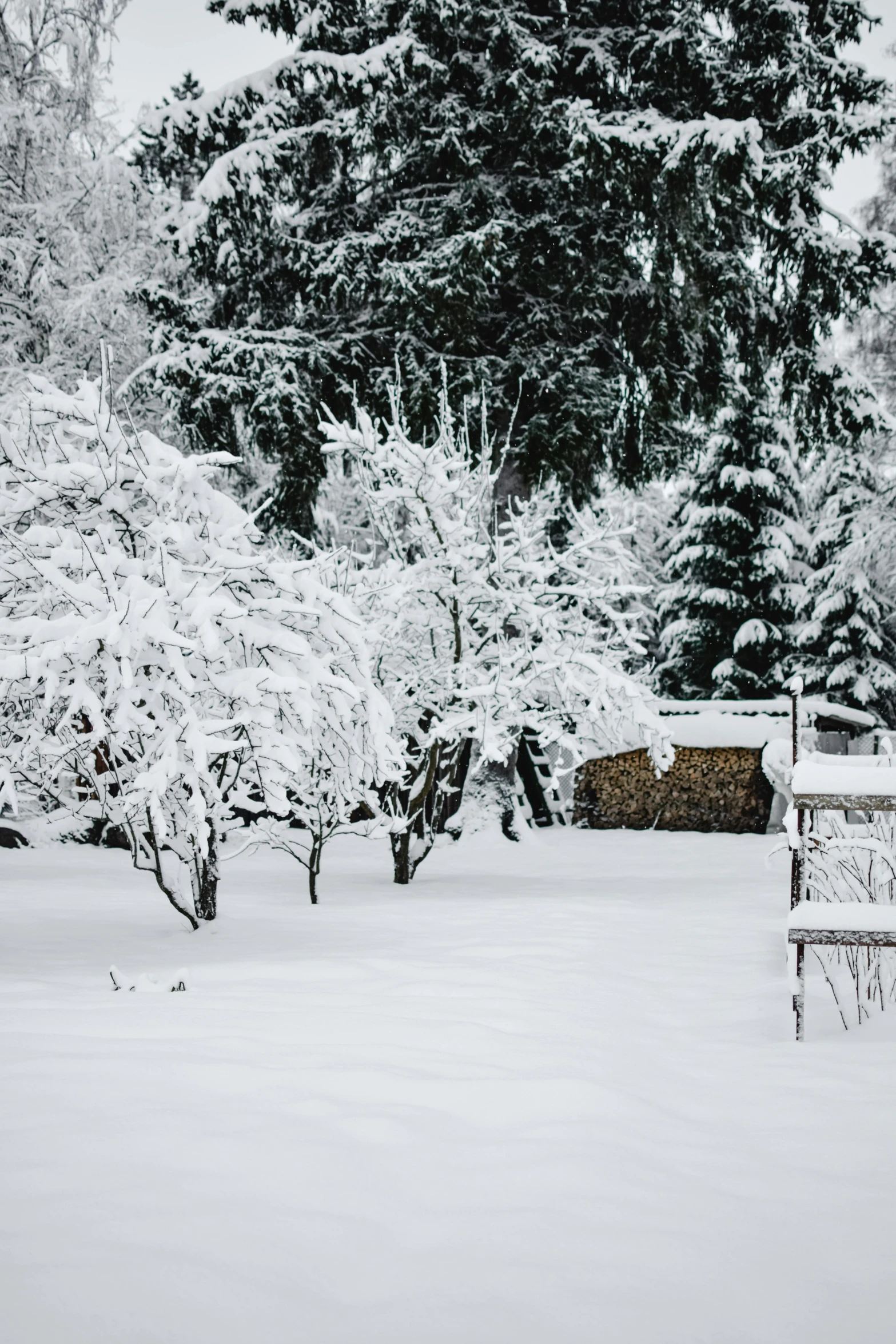 a bench sitting in the middle of a snow covered park, backyard garden, paul barson, stunning skied, 2019 trending photo