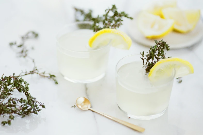 a couple of glasses filled with liquid and lemon slices, trending on pexels, herbs, gleaming white, krystal, on a pale background