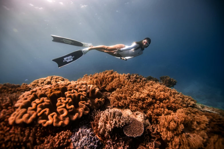 a woman snorgles over a coral reef, by Mia Brownell, unsplash contest winner, a woman floats in midair, low ultrawide shot, lachlan bailey, amanda lilleston