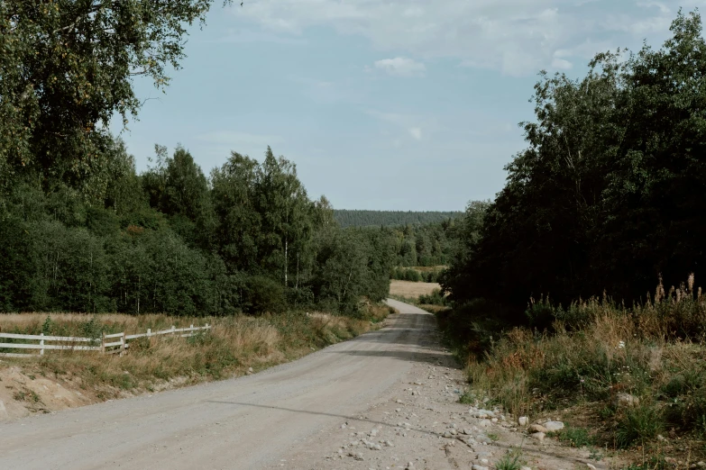 a man riding a skateboard down a dirt road, by Jaakko Mattila, les nabis, forest in the distance, leaked image, near farm, filmstill