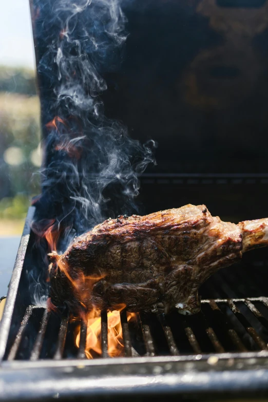 a piece of meat is cooking on a grill, by Daniel Lieske, pexels contest winner, renaissance, close up shot from the side, tall, 15081959 21121991 01012000 4k, instagram post