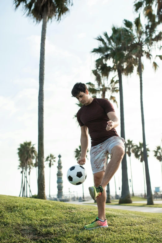 a man kicking a soccer ball in a park, unsplash, renaissance, with palm trees in the back, athletic tall handsome guys, oceanside, hollywood promotional image