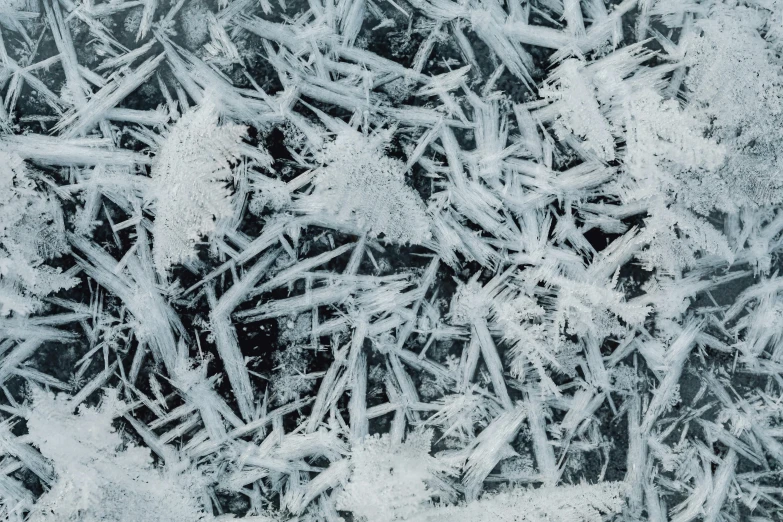 a black and white photo of snow crystals, pexels, abstract expressionism, blue ice, full frame image, thumbnail, flattened