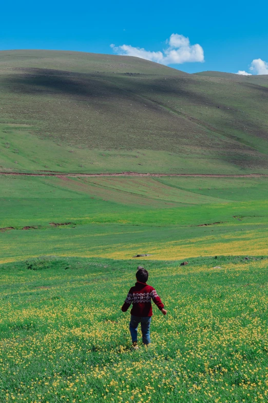 a person walking across a lush green field, by Muggur, childhood, iran, explore, colored photo