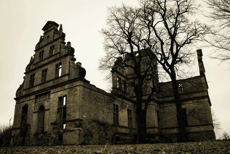 a black and white photo of an old building, by Adam Marczyński, pexels contest winner, baroque, halloween, sepia toned, destroyed castle, instagram picture