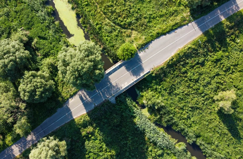 an aerial view of a road surrounded by trees, by Julian Allen, bridges crossing the gap, istock, green spaces, on a birdge