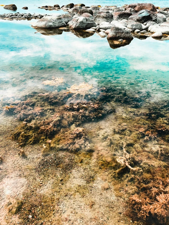 a large body of water surrounded by rocks, an album cover, pexels contest winner, realism, vibrant corals, lightroom preset, summer unreal engine 5, highly detailed water colour 8 k