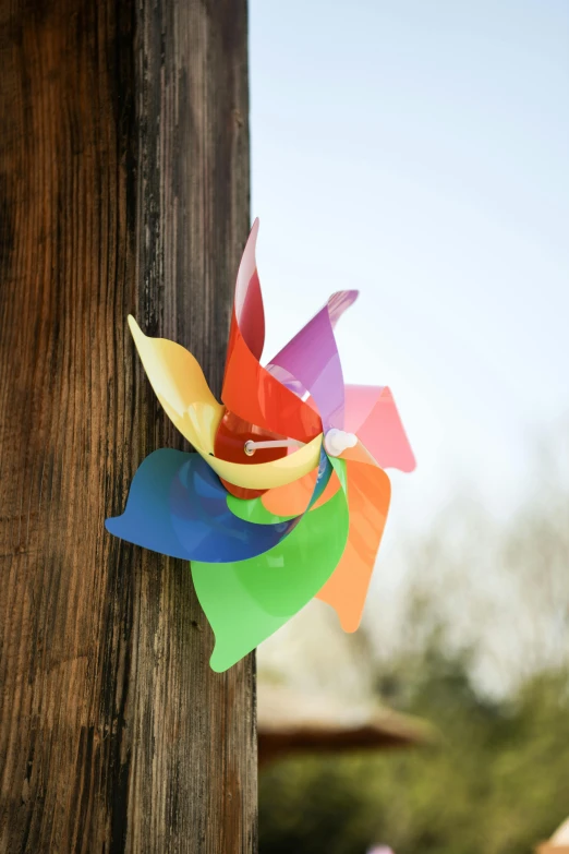 a colorful pinwheel attached to a wooden pole, made out of plastic, on wood, environmental shot, 1 0 0 mm