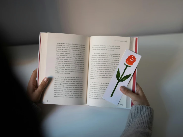 a person holding an open book with a flower on it, product image, poppy, 3d printed, die - cut sticker