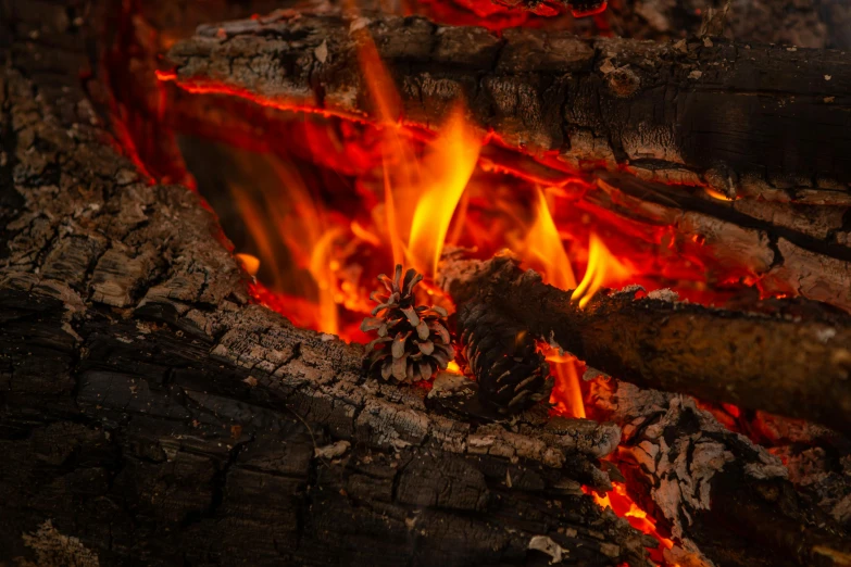 a close up of a fire in a fireplace, by Daniel Lieske, pexels contest winner, at a campfire in the forest, avatar image, wood burn, fireflys