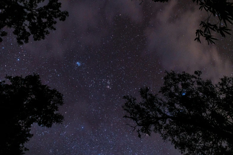 a night sky filled with lots of stars, by Robert Storm Petersen, unsplash, as seen from the canopy, trees and stars background, sirius star system, taken in the late 2010s