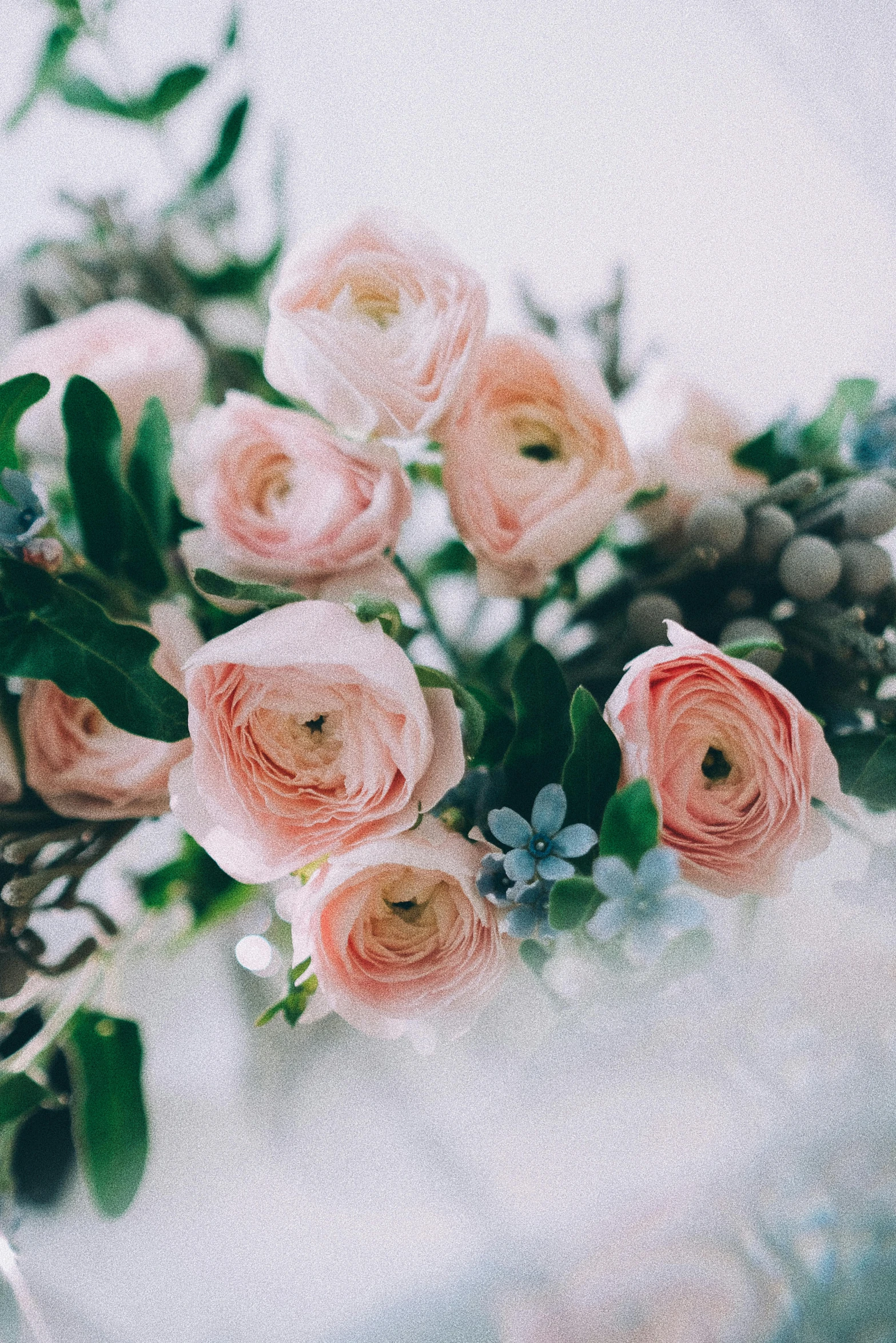 a bunch of flowers sitting on top of a table, inspired by François Boquet, trending on unsplash, romanticism, delicate pale pink lips, blue soft details, immaculately detailed, centerpiece