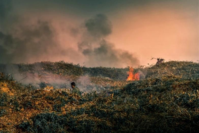 a bird standing on top of a grass covered hillside, an album cover, by Adam Marczyński, unsplash contest winner, environmental art, burning embers, straw, smoke and rubble, indonesia