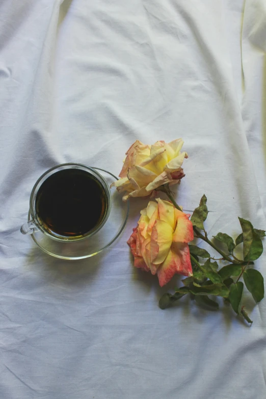 a cup of coffee and a rose on a bed, by Rebecca Horn, cold brew coffee ), single, classical, black