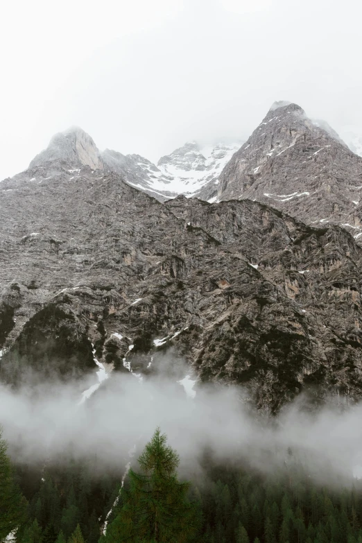 a herd of cattle grazing on top of a lush green field, a picture, by Alessandro Allori, trending on unsplash, romanticism, mountains in fog background, lago di sorapis, with a snowy mountain and ice, light grey mist