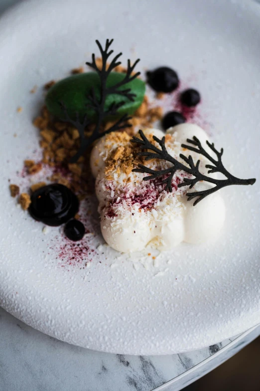 a close up of a plate of food on a table, inspired by Frederik Vermehren, unsplash, white desert, birch, frozen, melbourne