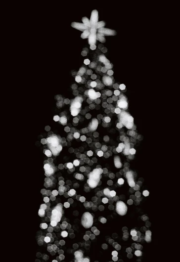 a black and white photo of a christmas tree, generative art, overcast bokeh - c 5, tall, midnight, yum