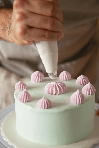 a person decorating a cake with pink icing, short spout, ultra fine detailed, cone heads, mint higlights