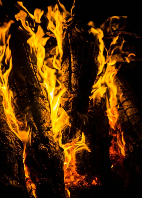 a bunch of logs sitting on top of a fire, an album cover, by Adam Marczyński, pexels contest winner, renaissance, avatar image, close up image, profile picture, full frame image