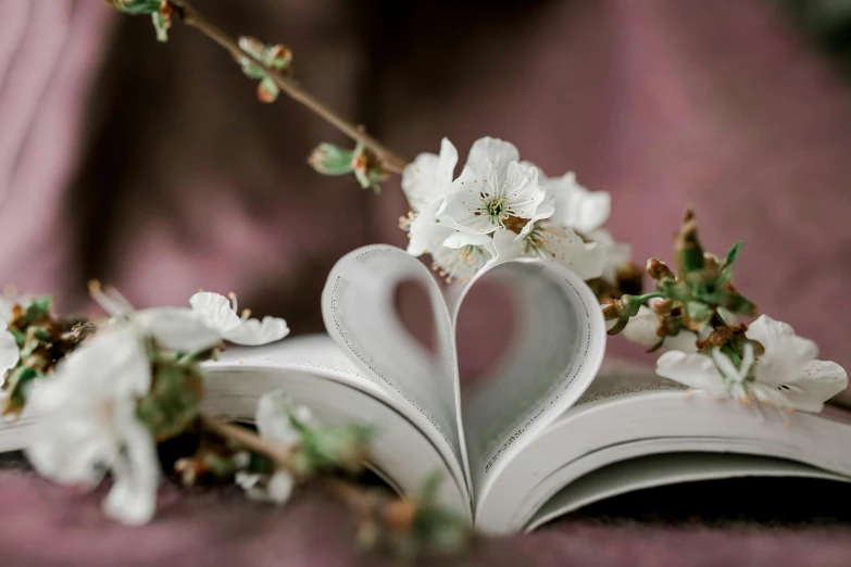 a book with a heart cut out of it, a picture, trending on pixabay, romanticism, white flower crown, plum blossom, fan favorite, manuka