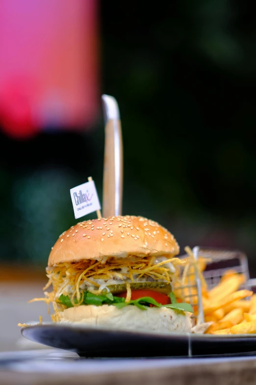 a close up of a plate of food on a table, burger with a mouth, straw, bangalore, splash image