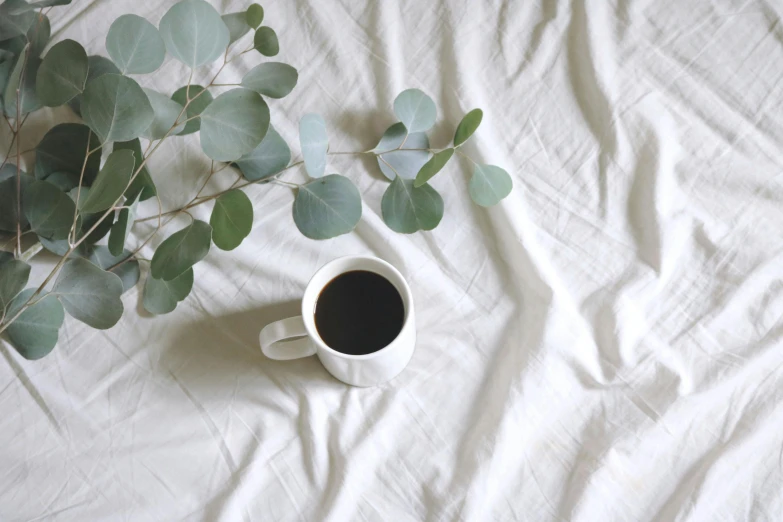 a cup of coffee sitting on top of a bed, by Lucia Peka, trending on unsplash, minimalism, eucalyptus, with black vines, moringa juice, white tablecloth