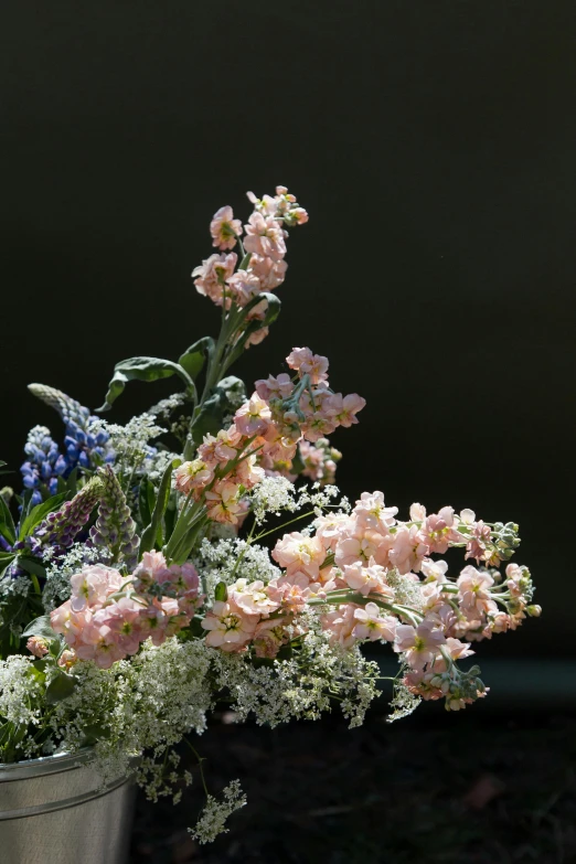 a metal bucket filled with pink and white flowers, inspired by François Boquet, unsplash, romanticism, paul barson, side view intricate details, blue delphinium, loosely cropped