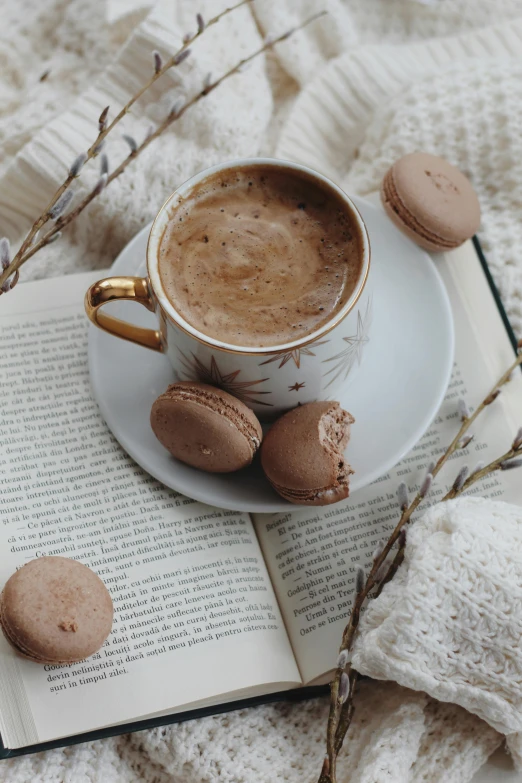 a cup of coffee sitting on top of an open book, by Lucia Peka, pexels contest winner, romanticism, macaron, thumbnail, brown:-2, desserts
