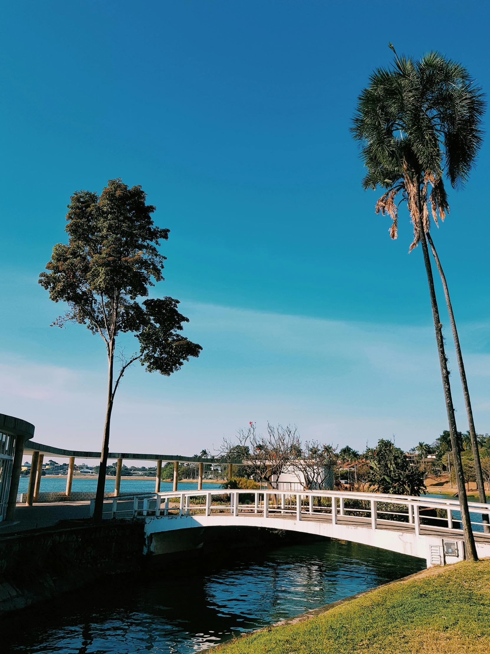 a bridge over a body of water next to palm trees, hurufiyya, trending on vsco, in a park and next to a lake, bangkuart, clear blue skies