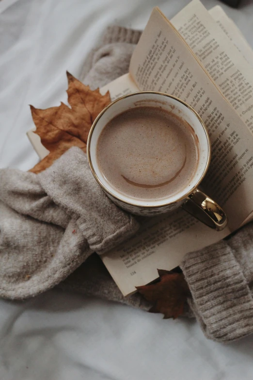 a cup of coffee sitting on top of an open book, brown sweater, thumbnail, hot cocoa drink, leaves and simple cloth