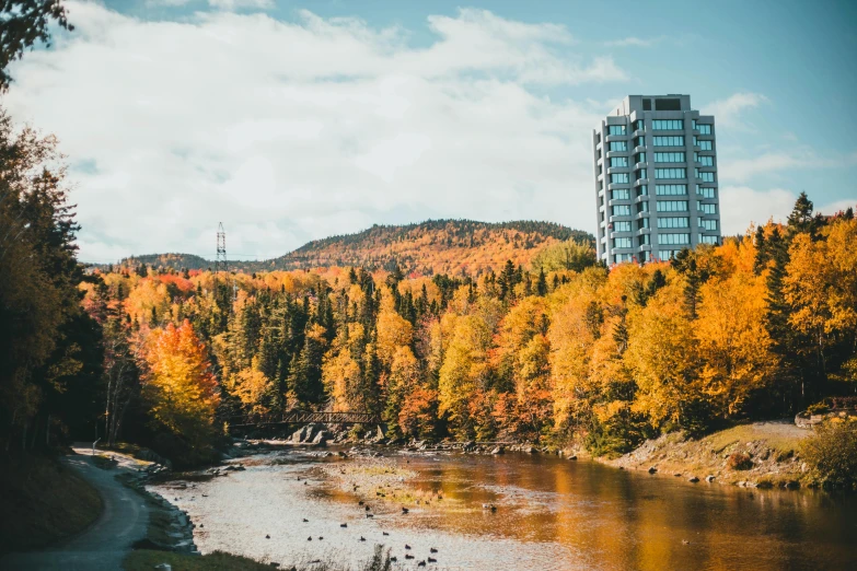 a river running through a forest next to a tall building, by Pierre Toutain-Dorbec, pexels contest winner, vermont fall colors, 2 5 6 x 2 5 6 pixels, bright nordic forest, slide show