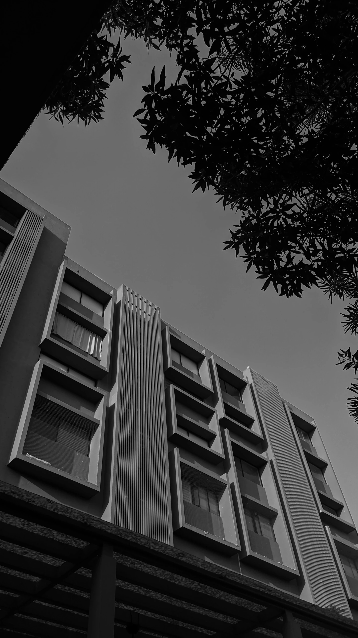 a black and white photo of a tall building, inspired by Ricardo Bofill, unsplash, brutalism, bangalore, :: morning, leaves, residential