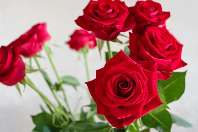 a vase filled with red roses sitting on a table, zoomed in, upclose, award winning, close together