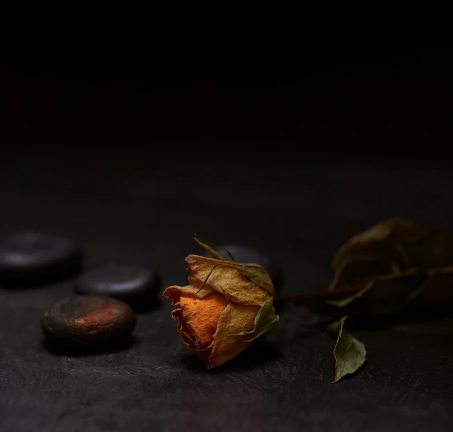 a rose that is sitting on a table, dark stone, dark grey and orange colours, floating stones, ash thorp